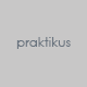 Praktikus