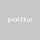 Praktikus